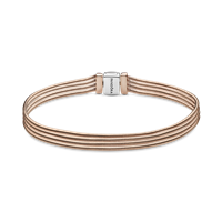 Bracciale Pandora Donna Reflexions in Argento 588782C00-16 - 588782C00-18